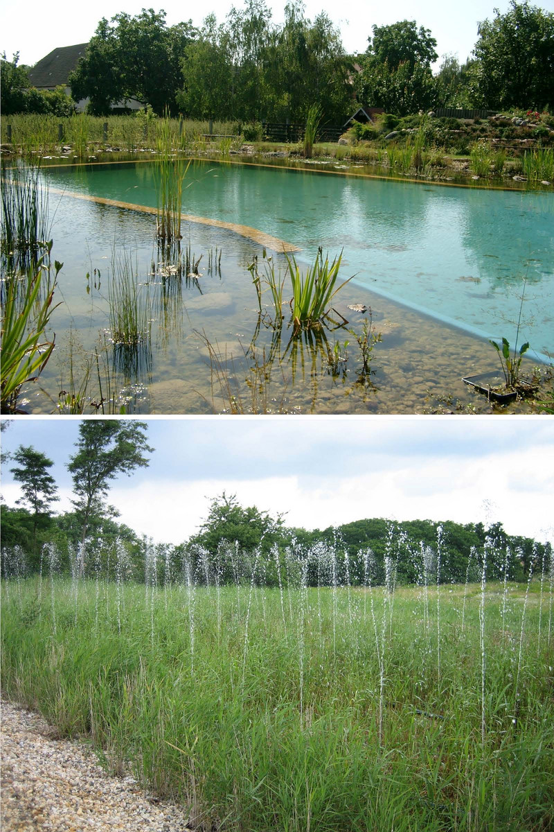 2 Abbildungen von Regenerationsflächen und Pflanzenbeeten